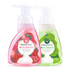 泡沫抑菌洗手液（玫瑰+草本）325ML*2瓶 商品缩略图4