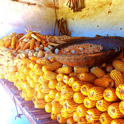 自然农法玉米面5斤 商品图4