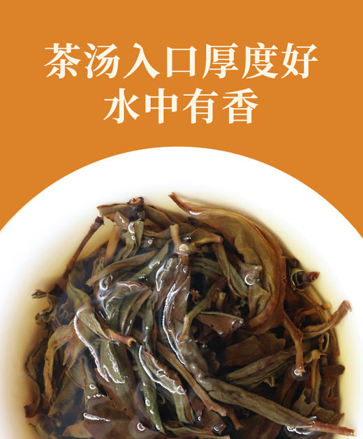 凤凰单枞金丝王 100克 蜜香系单枞中的高端品 商品图5