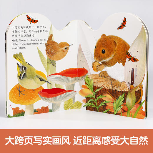 乐乐趣 亮丽精美触摸书点读版（共4册） 商品图2