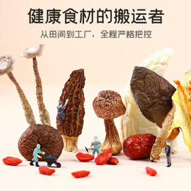 富昌 十珍菌汤包90g 姬松茸羊肚菌牛肝菌滋补炖汤料煲汤材料炖汤食材