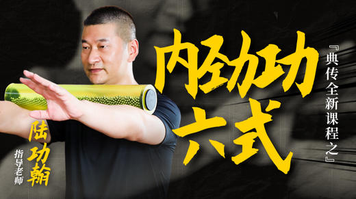 【8月4日】内劲功六式直播讲解 商品图0