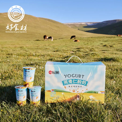 CY-新疆燕麦仁酸奶 180g*12杯 商品图3