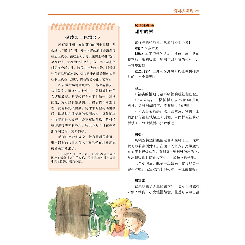 试读PDF-9787308173391(1-1)-森林大发现_012.jpg