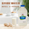 和润 丹麦式 1.05kg 酸奶酸牛奶 风味发酵乳  生鲜 水果捞 酸奶碗 商品缩略图5