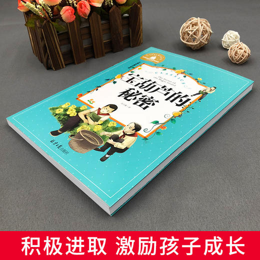 宝葫芦的秘密 儿童彩图注音版 商品图3