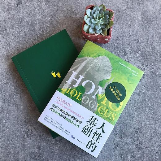 (仓发) （简策博文）人性的基础：21世纪的生物学新发现（说透人性最深处的欲望，揭露行为背后的生物学基础）/世界图书出版公司/[意]皮耶尔·温琴佐·皮亚扎/9787519286682 商品图4