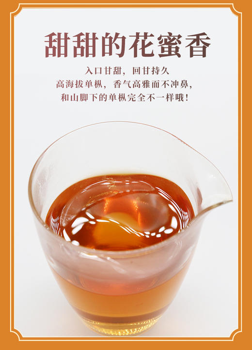 凤凰单枞金丝王 100克 蜜香系单枞中的高端品 商品图4