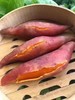 六鳌蜜薯一箱（拼团） 商品缩略图2
