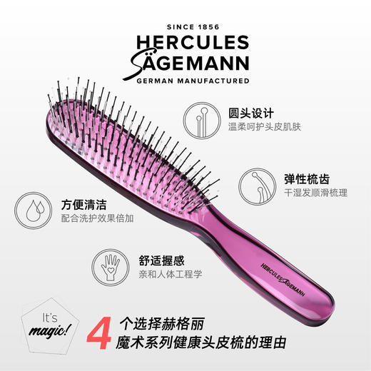 全功能魔术梳 树莓紫/8204 商品图1