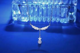 新款《橄榄之星》纯银特色锁骨链  满天星辰不及你眼里有我