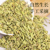 寻鲜匠小茴香135g/罐 香辛料调料 厨房调味火锅香料卤料香辛料 商品缩略图1