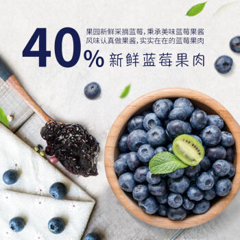 美茵塔尔德国进口无添加蓝莓酱340g早餐冰淇淋面包搭档 商品图1