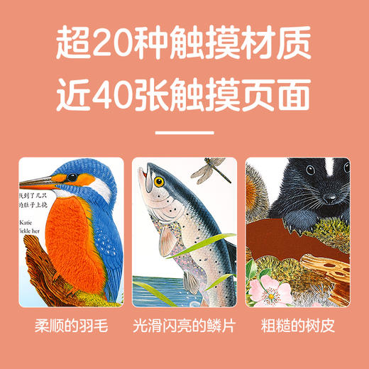 乐乐趣 亮丽精美触摸书点读版（共4册） 商品图1
