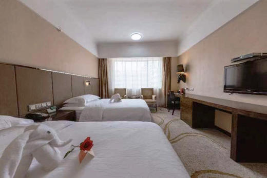 金元宝大酒店金箔路店客房标间（含早） 商品图0