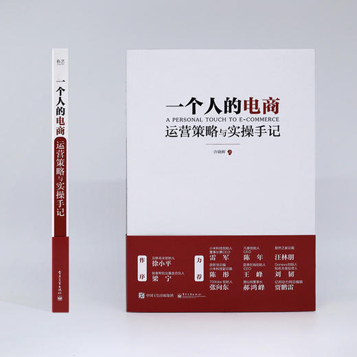 一个人的电商：运营策略与实操手记 互联网+时代电商运营，徐小平、梁宁作序，雷军、陈彤、张向东、刘韧、王峰力荐！ 商品图1