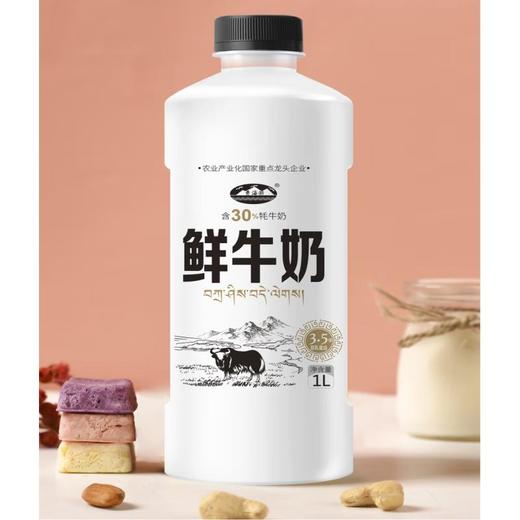 青海湖鲜牛奶1L(含30%牦牛奶)/瓶 商品图0