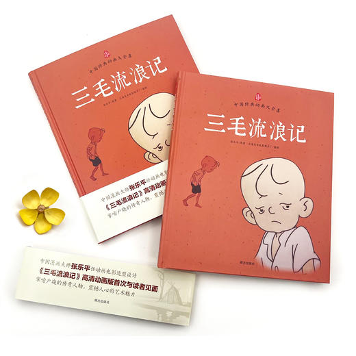 三毛流浪记 商品图2