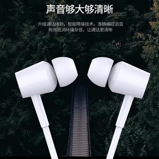 入耳式耳塞3.5孔智能通用立体声高清音质音乐耳机降噪K歌手机电脑 商品图3