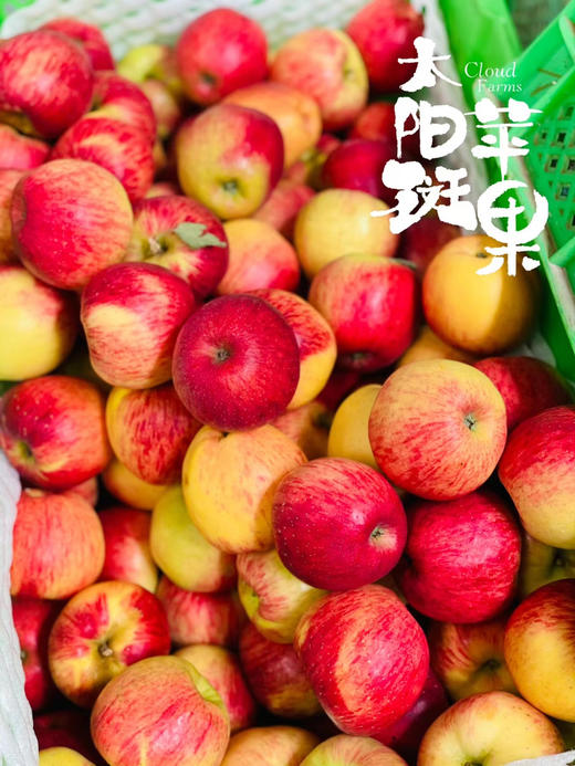 云南太阳斑富硒红玛瑙苹果 商品图0