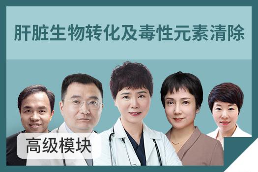 肝脏生物转化及毒性元素清除高级模块