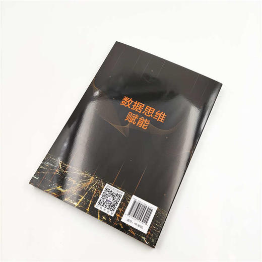 (仓发) 数据思维赋能/清华大学出版社/贾君新/9787302553915 商品图4