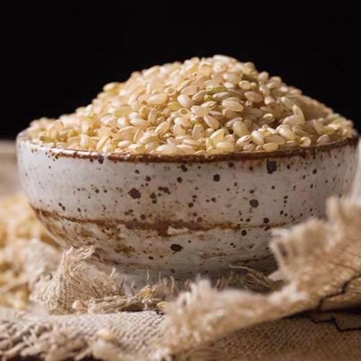 新疆察农胚芽鲜米 察布查尔县一级大米糙米5斤 商品图3