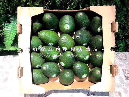 原箱牛油果（18-20枚一箱）发全国包邮 商品图0