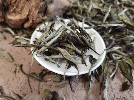 2016年春磻溪大洋山·白牡丹500克（直面茶） 商品图2