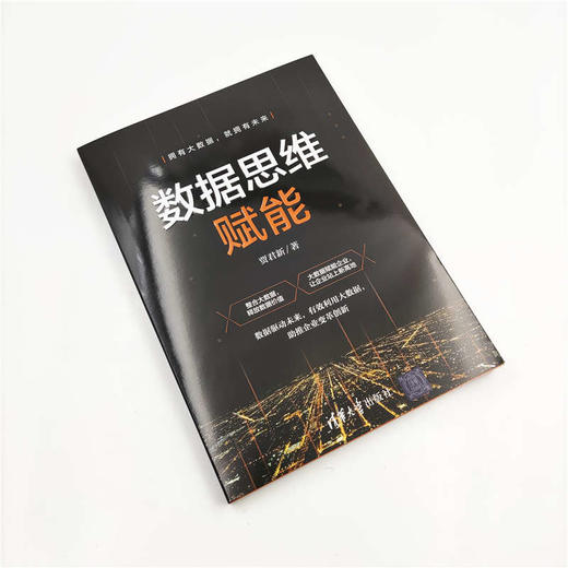 (仓发) 数据思维赋能/清华大学出版社/贾君新/9787302553915 商品图2