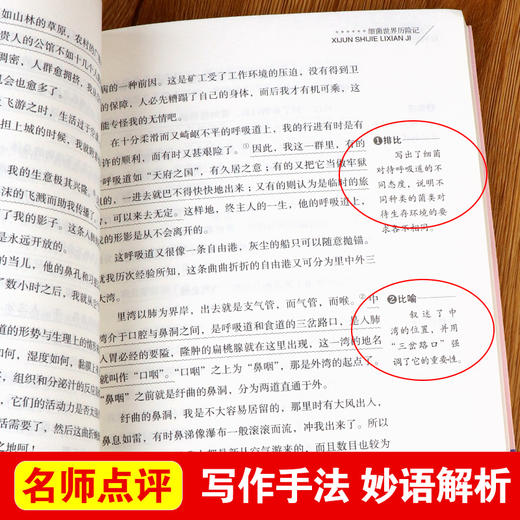 全套4册长袜子皮皮正版 三年级四年级阅读课外书必读老师推荐至青鸟书籍草原上的小木屋天地中国少年儿童出版社上册细jun世界历险记 商品图2