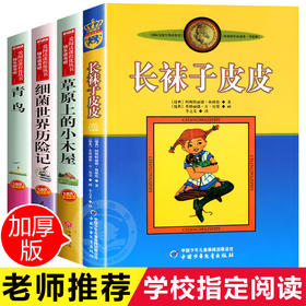 全套4册长袜子皮皮正版 三年级四年级阅读课外书必读老师推荐至青鸟书籍草原上的小木屋天地中国少年儿童出版社上册细jun世界历险记