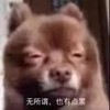 券券 商品缩略图0