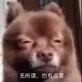 券券 商品图0