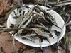 2016年春磻溪大洋山·白牡丹500克（直面茶） 商品缩略图3