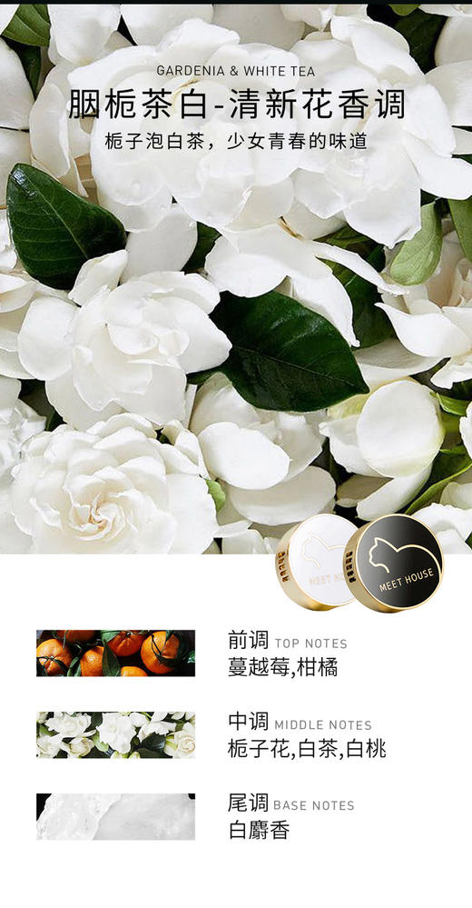 【新品上新】经典车载香薰补充香薰片（不含扩香器） 商品图3