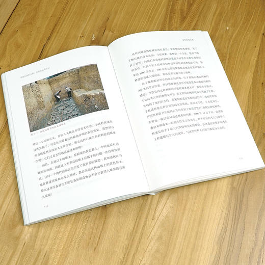 刘斌著：《寻找失落的文明：良渚古城考古记》 商品图2