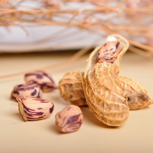 云南普洱孟连七彩野地熟花生278g/罐*3罐 商品图3