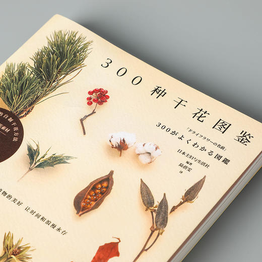 中信出版 | 300种干花图鉴 留住植物之美，让时间与浪漫永存 商品图2