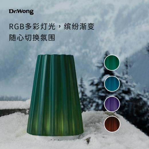 旧链接 【冷杉】香薰机  绿 商品图3