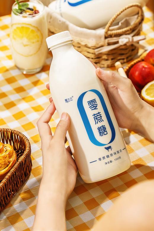 马三三零蔗糖原味酸奶~~1000g/瓶*2瓶装 商品图2