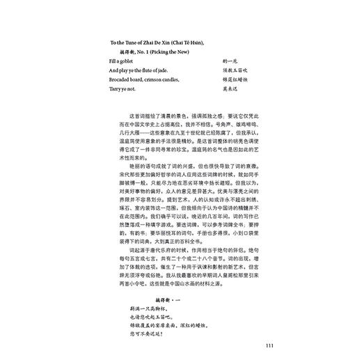 中国诗五讲(英汉对照)(博雅双语名家名作) 商品图5