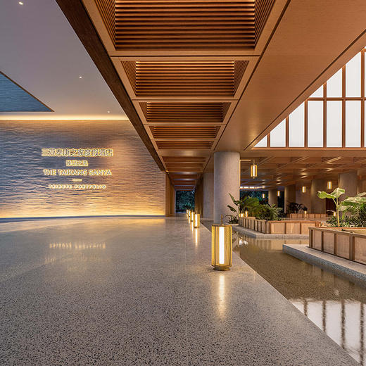 三亚泰康之家度假酒店 · 臻品之选新店开业特惠超大儿童乐园全新设施特色美食 商品图5