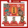 T 特价盲盒  10714    Animal Life   招财野生大猫(套装)2 商品缩略图0