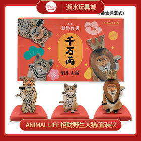 T 特价盲盒  10714    Animal Life   招财野生大猫(套装)2