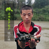生态田螺肉 | 合作生产* Eco-River snail | Coproduction 商品缩略图1