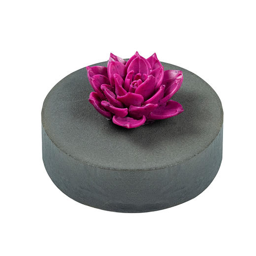 南瓜黑芝麻乳酪蛋糕 商品图6