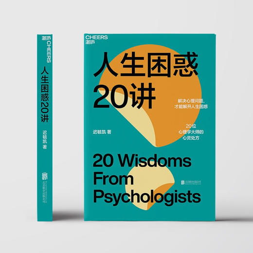 人生困惑20讲 迟毓凯 著 心理学书籍 解决心理问题 活出乐观的自己 才能解开人生困惑焦虑 20位心理学大师的心灵处方 商品图3