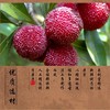 泉利堂冰糖杨梅128g 商品缩略图1