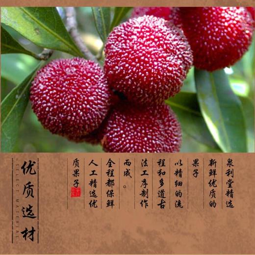 泉利堂冰糖杨梅128g 商品图1